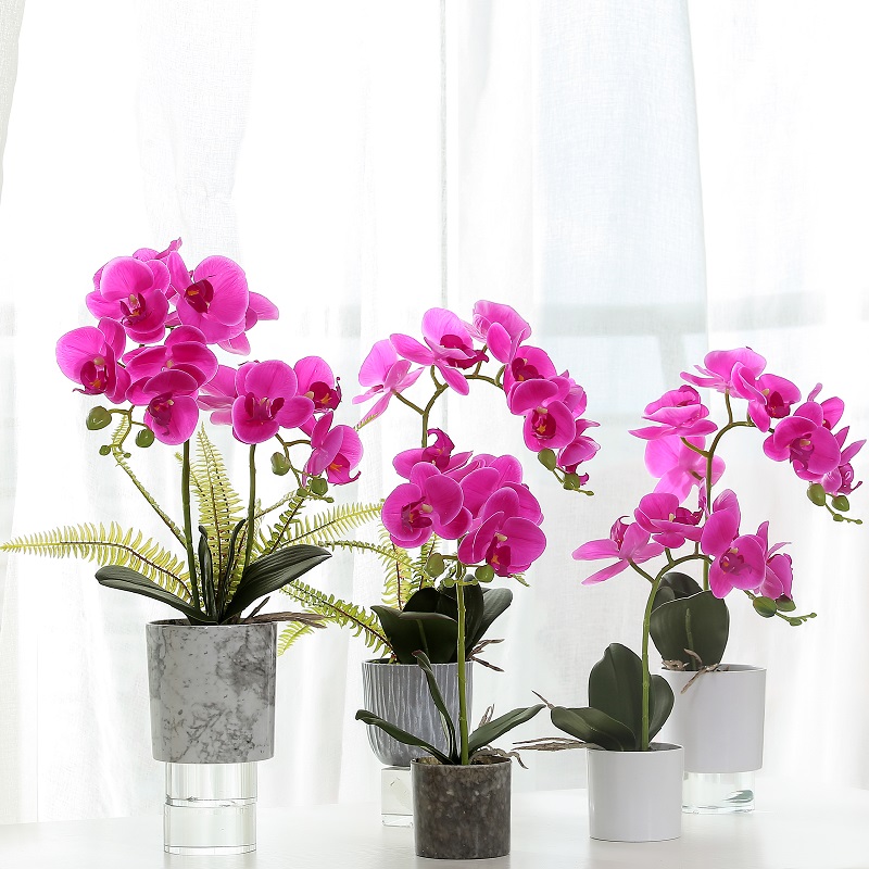 Hot Selling Red Poted Artificial Orchid med hög kvalitet